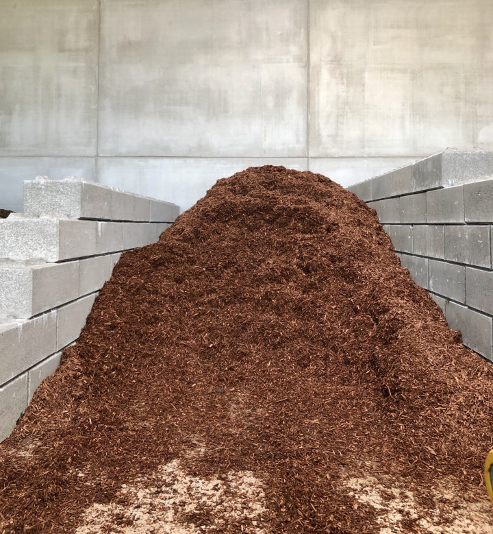 Pin Sylvester 10 20 (4)