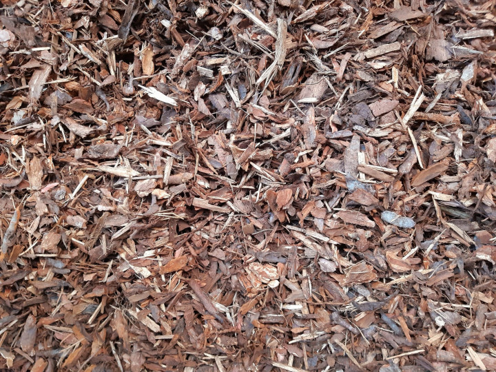 Pin Sylvester 20 40 (4)